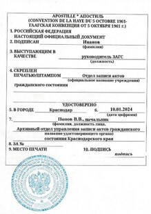 Примеры апостилированных документов